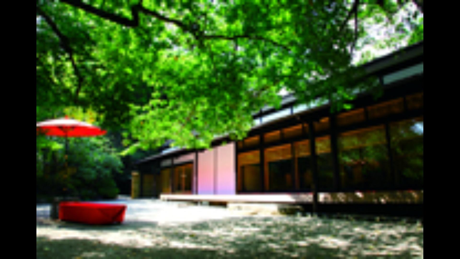 アメリカ製 Village 壁紙 緑色 薔薇 6本 八芳園 | イベント会場 アメリカ製 Village 壁紙 緑色 薔薇 6本 八芳園 | イベント会場